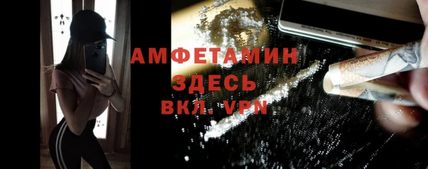 шишки Михайловск