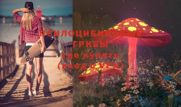шишки Михайловск
