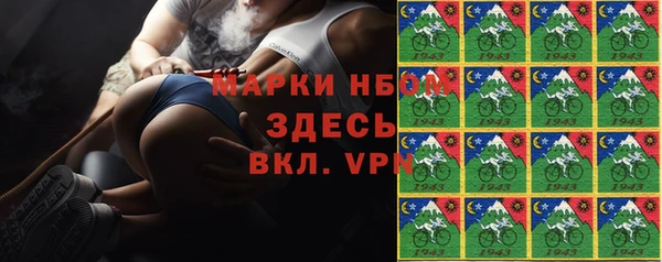шишки Михайловск