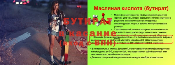 шишки Михайловск