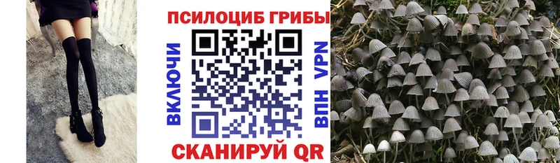 купить  цена  Камешково  omg   Галлюциногенные грибы ЛСД 