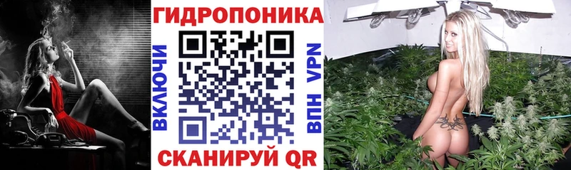 Конопля SATIVA & INDICA  Камешково 